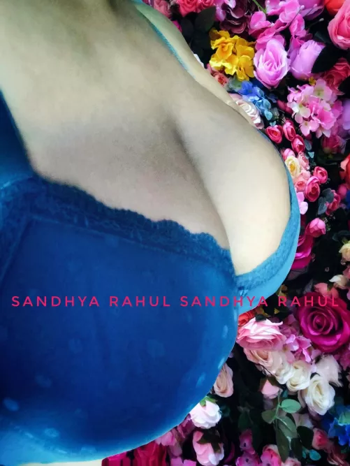 Blooming flowers 🌹 [F] by sandhyarahul2022