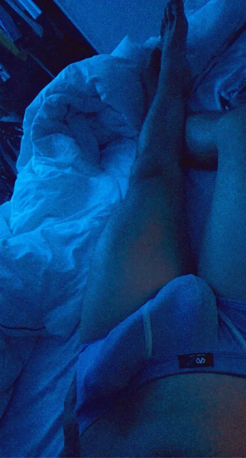 Blue morning wood by delitvkint