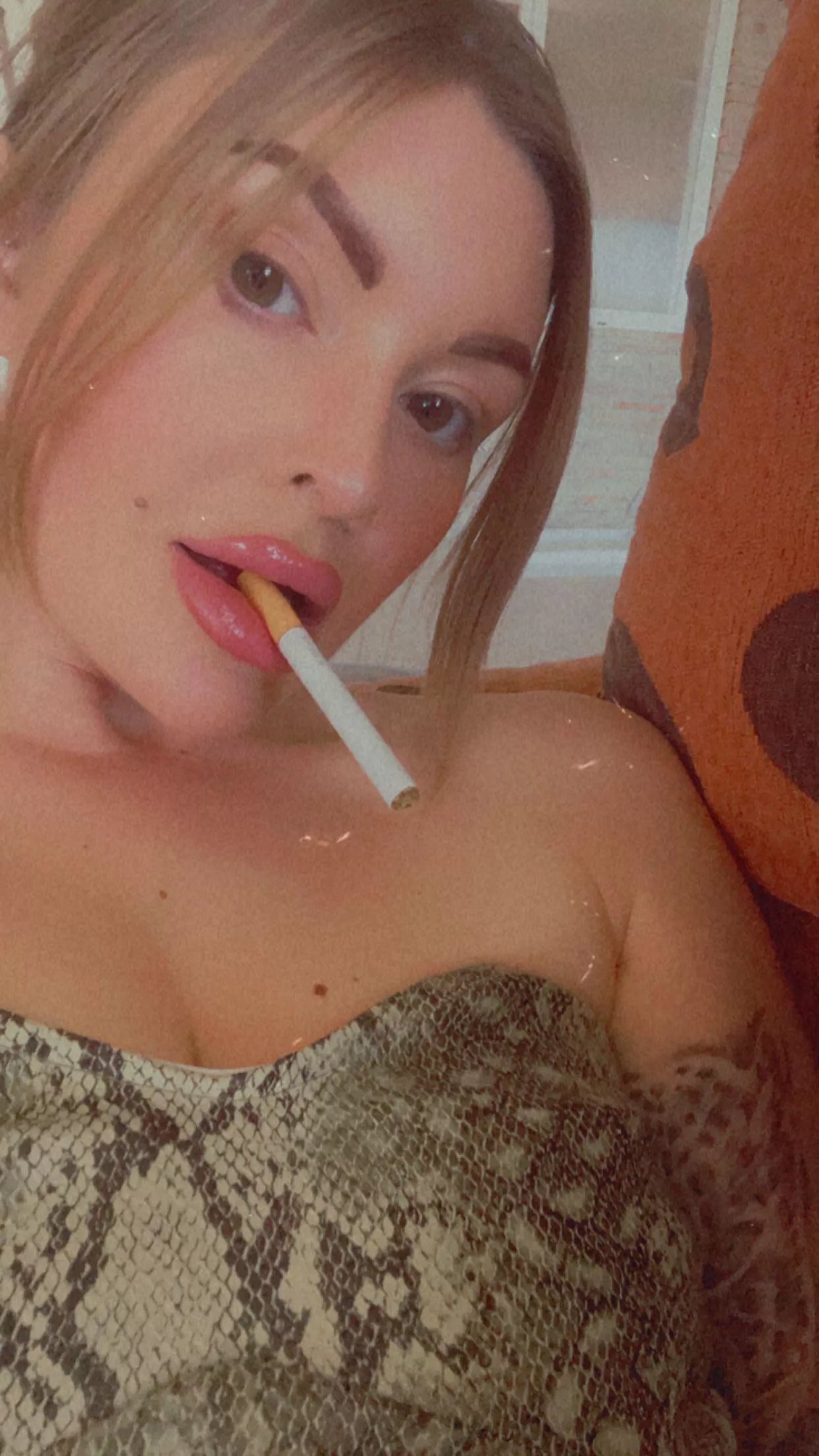 Dangle 🚬 posted by Relevant-Wallaby5244