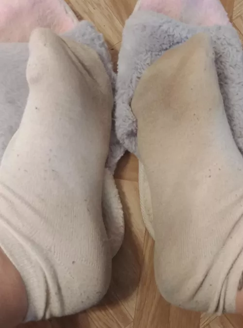 Day 10 in these socks, and its the last day im wearing them! message me to get them shipped when i take them off in the morning :) by Belleellah1