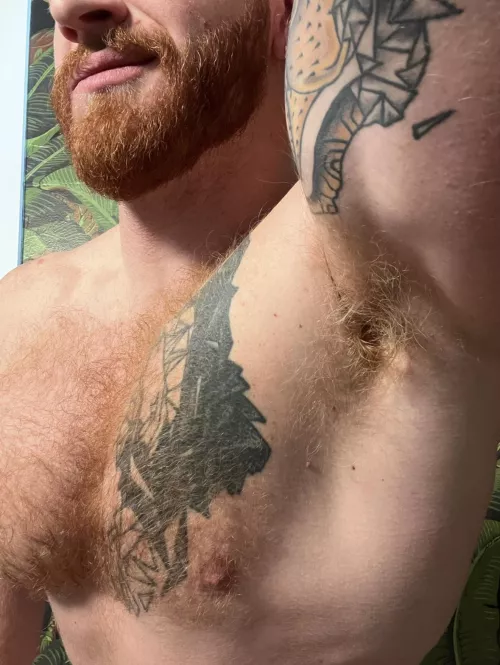 Do you like meaty armpits? by WetOnLev