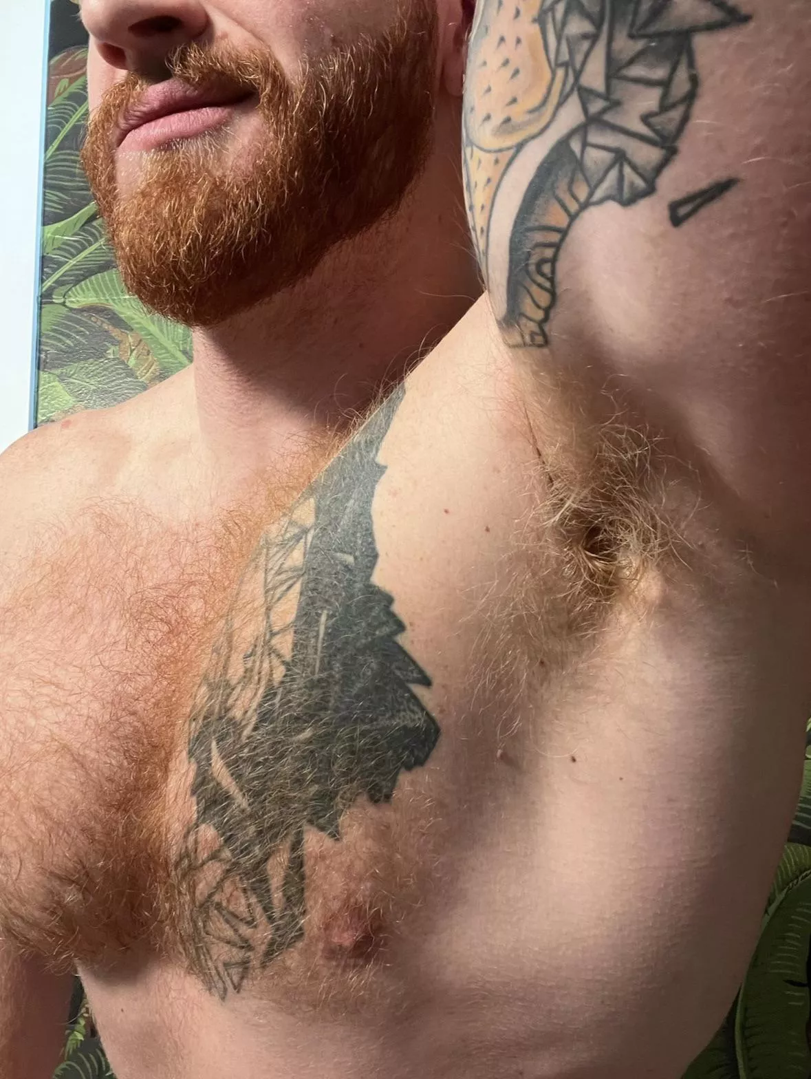 Do you like meaty armpits? posted by WetOnLev