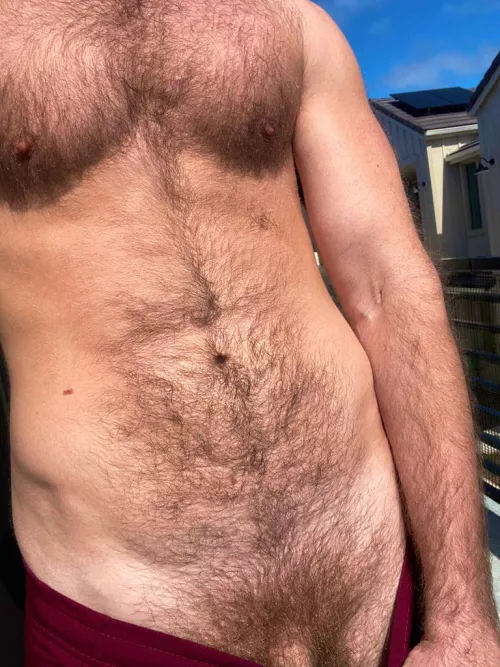 Fur always looks better in the sunlight 😍 by TantricLeopard