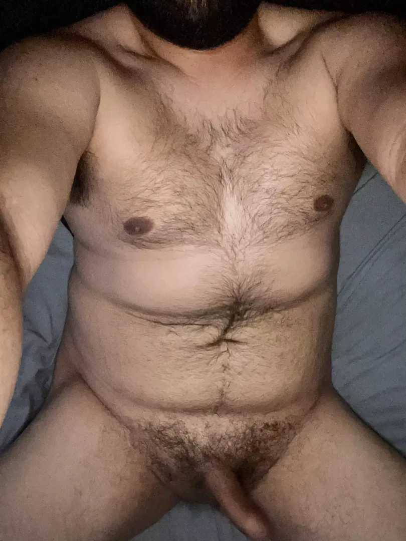 Good afternoon 🐻 posted by Versetastic