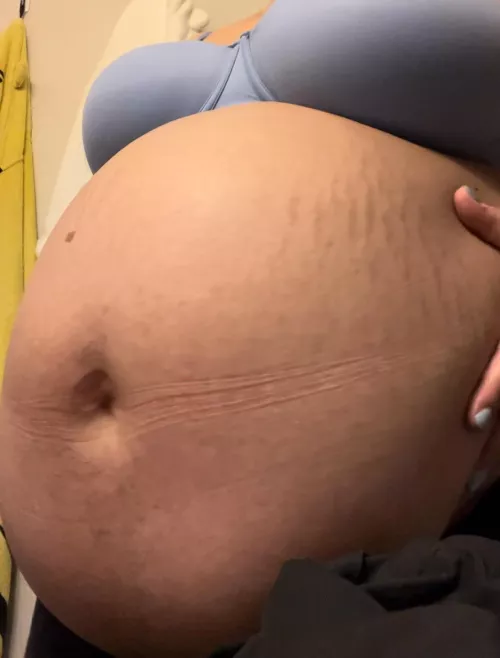 How many times should we breed? by mamadomme