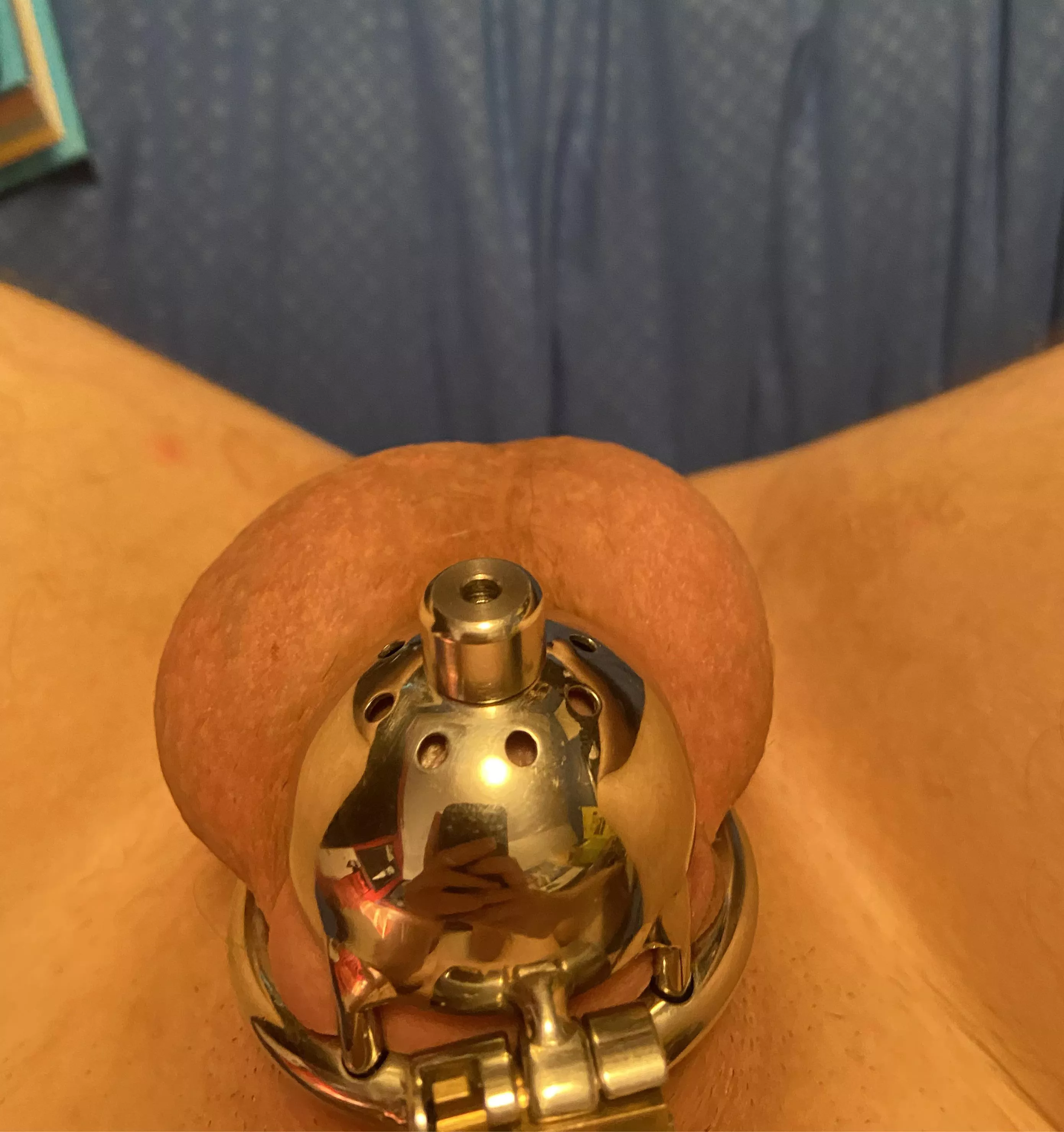 I finally managed to get the cage on with the insert! (22m) posted by emilyqwerty