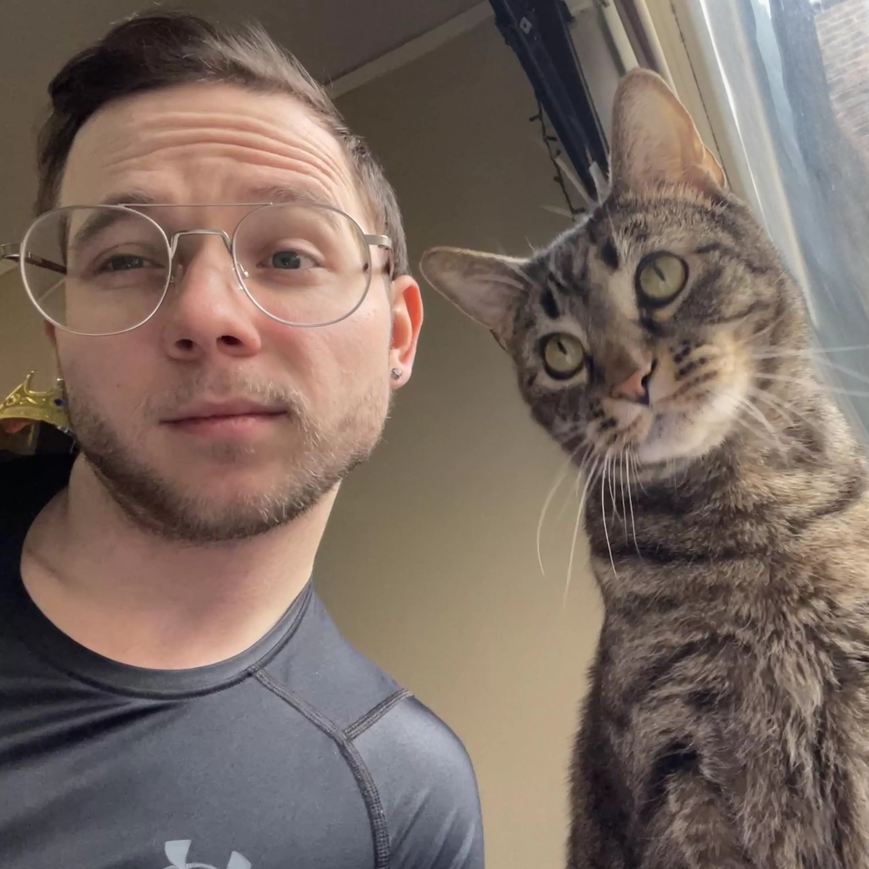 I’m independent like a cat but I still need a man posted by Chicken-McThugget