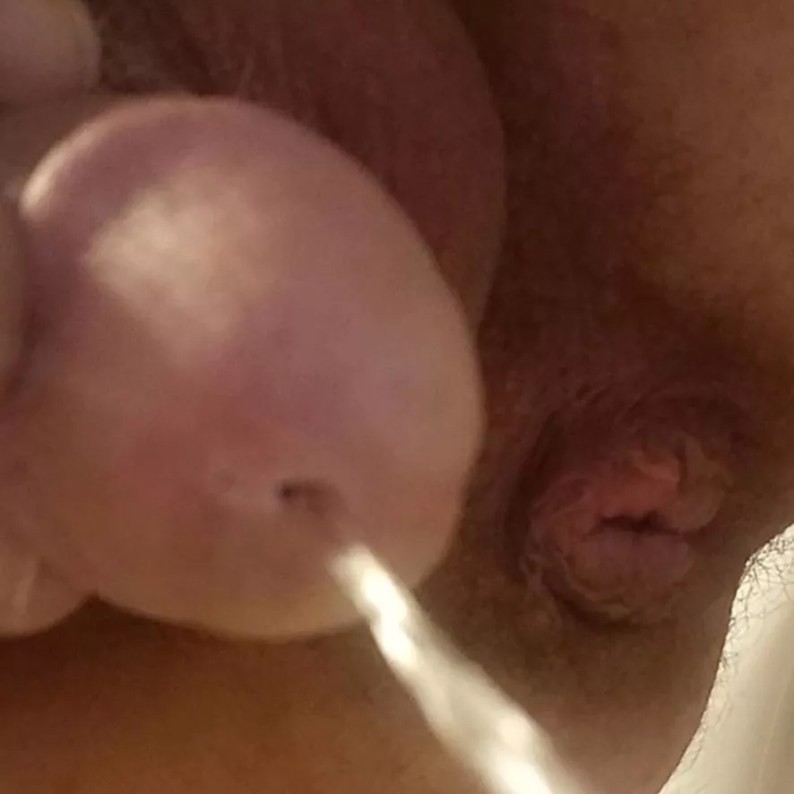 interesting point of view? posted by gialiv8