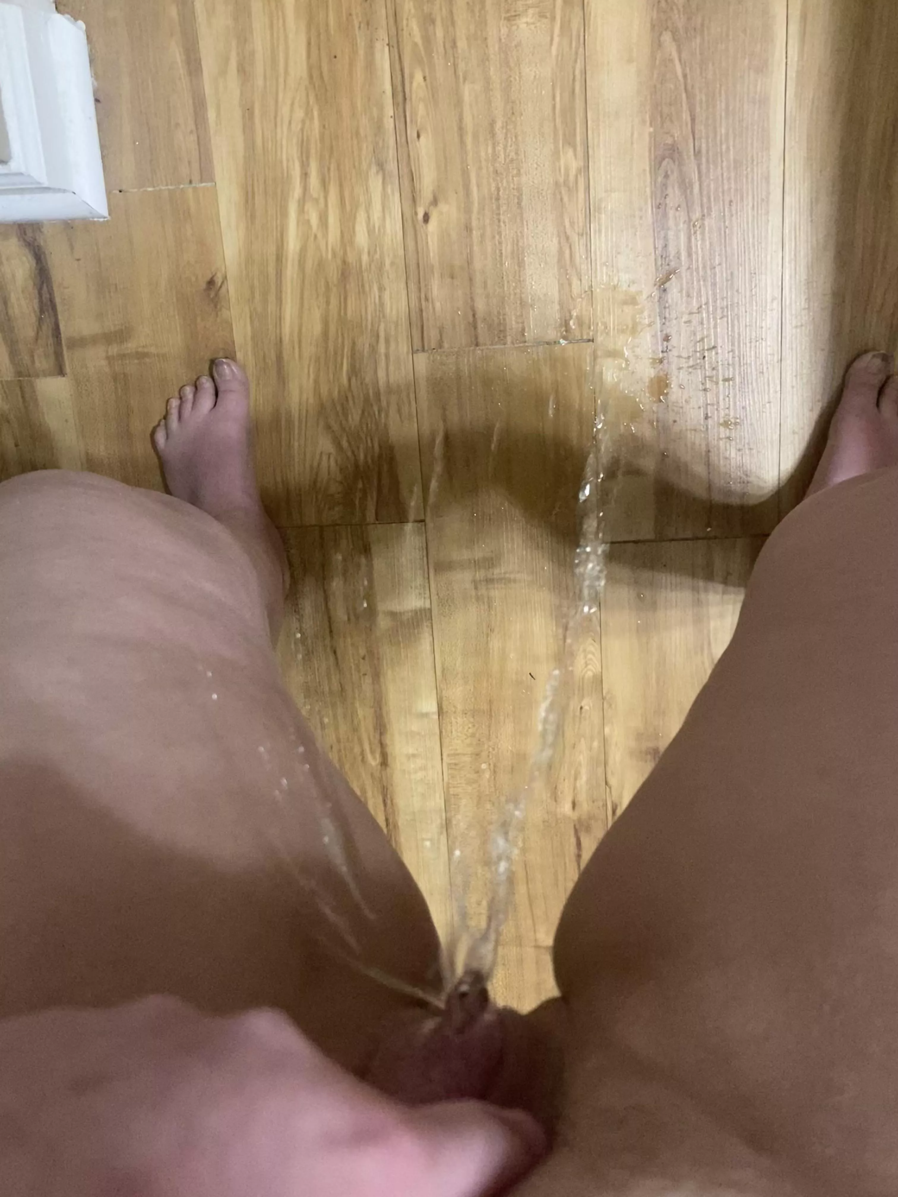 I’ve never peed on the floor before. posted by onion7926