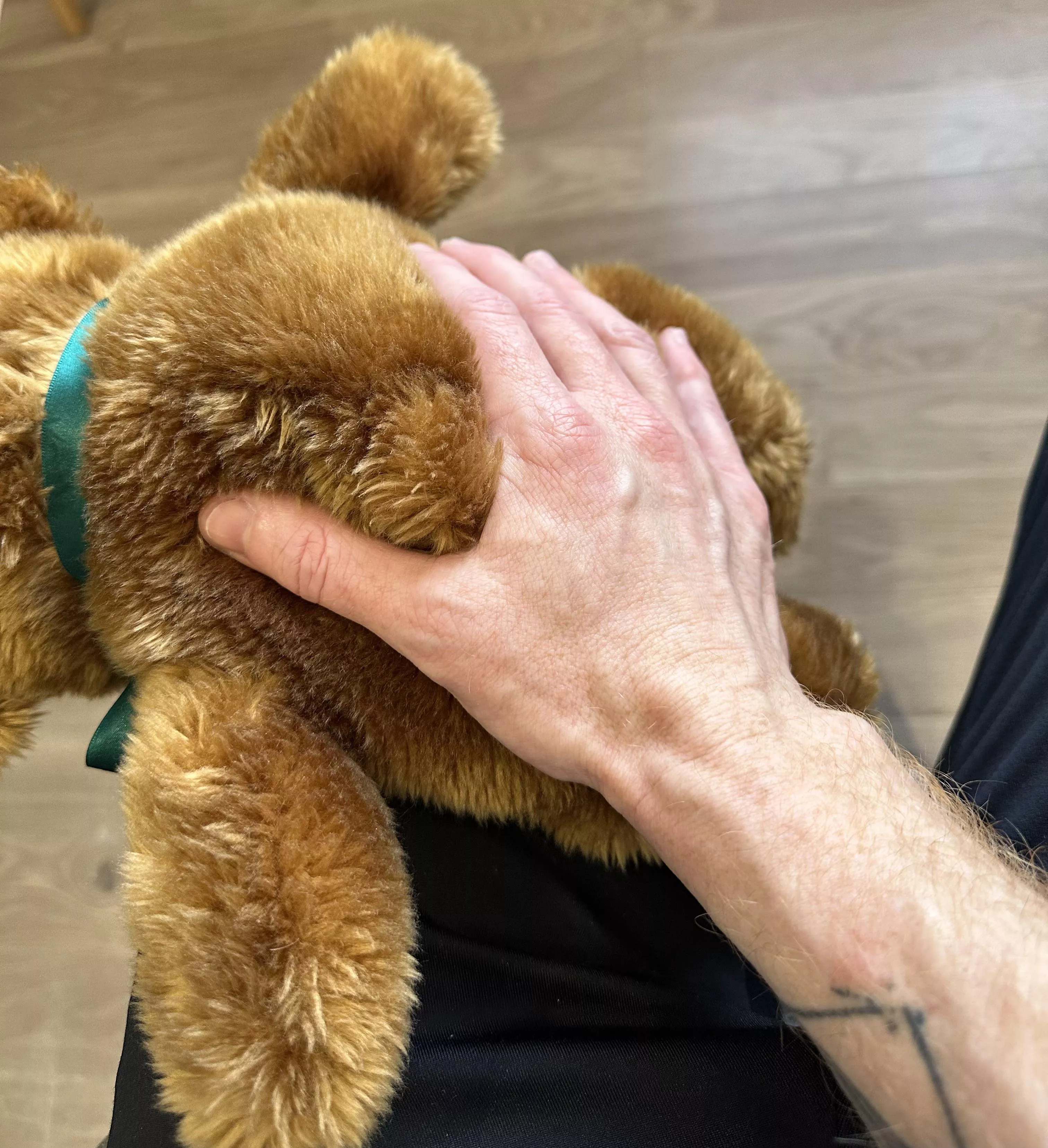 Kindly take Teddy's place 😌 posted by _TtTToriginal_