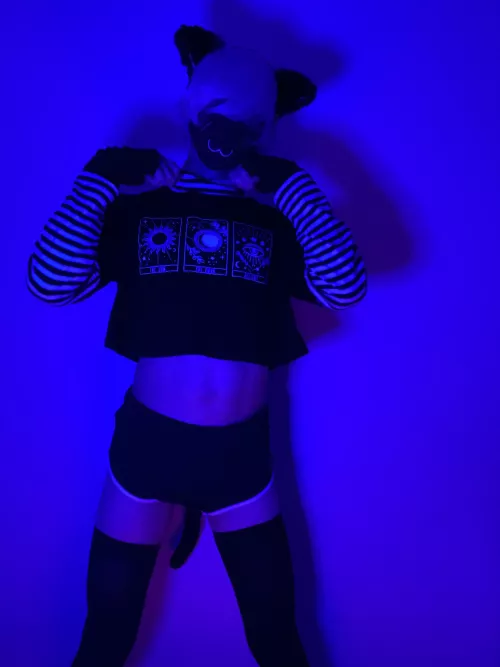 Kitty tum :3 by femboy_arty