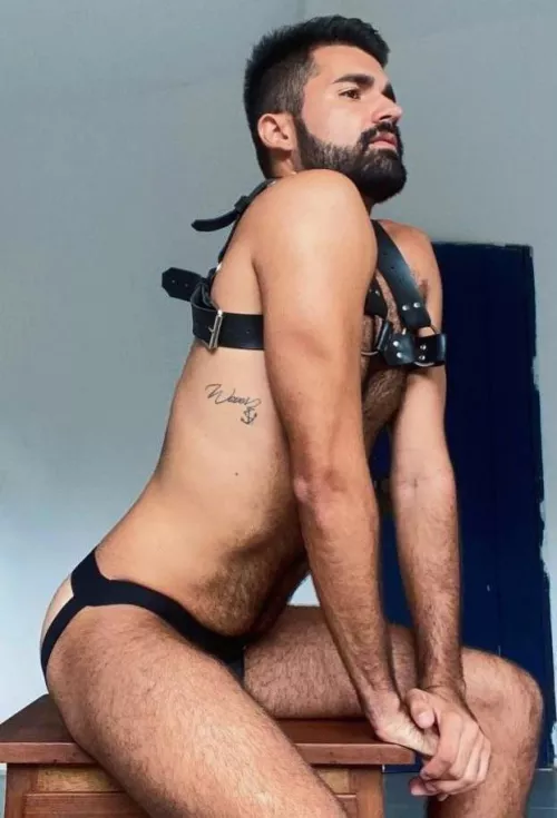 Let’s fuck !! So Horny here !! by Furryhornny