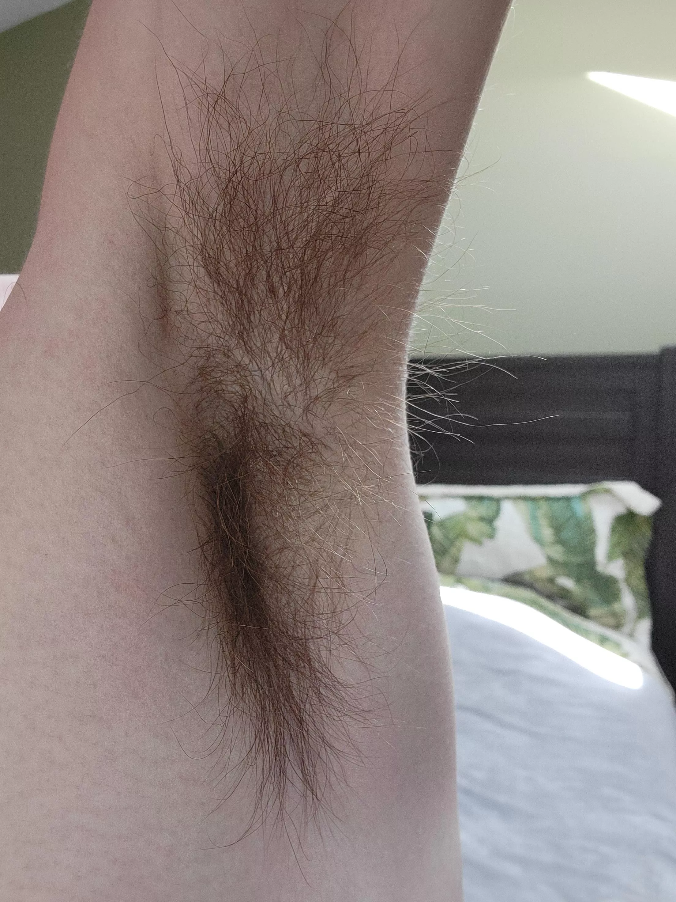 Lick or Sniff? 😘 posted by Lustfulliam