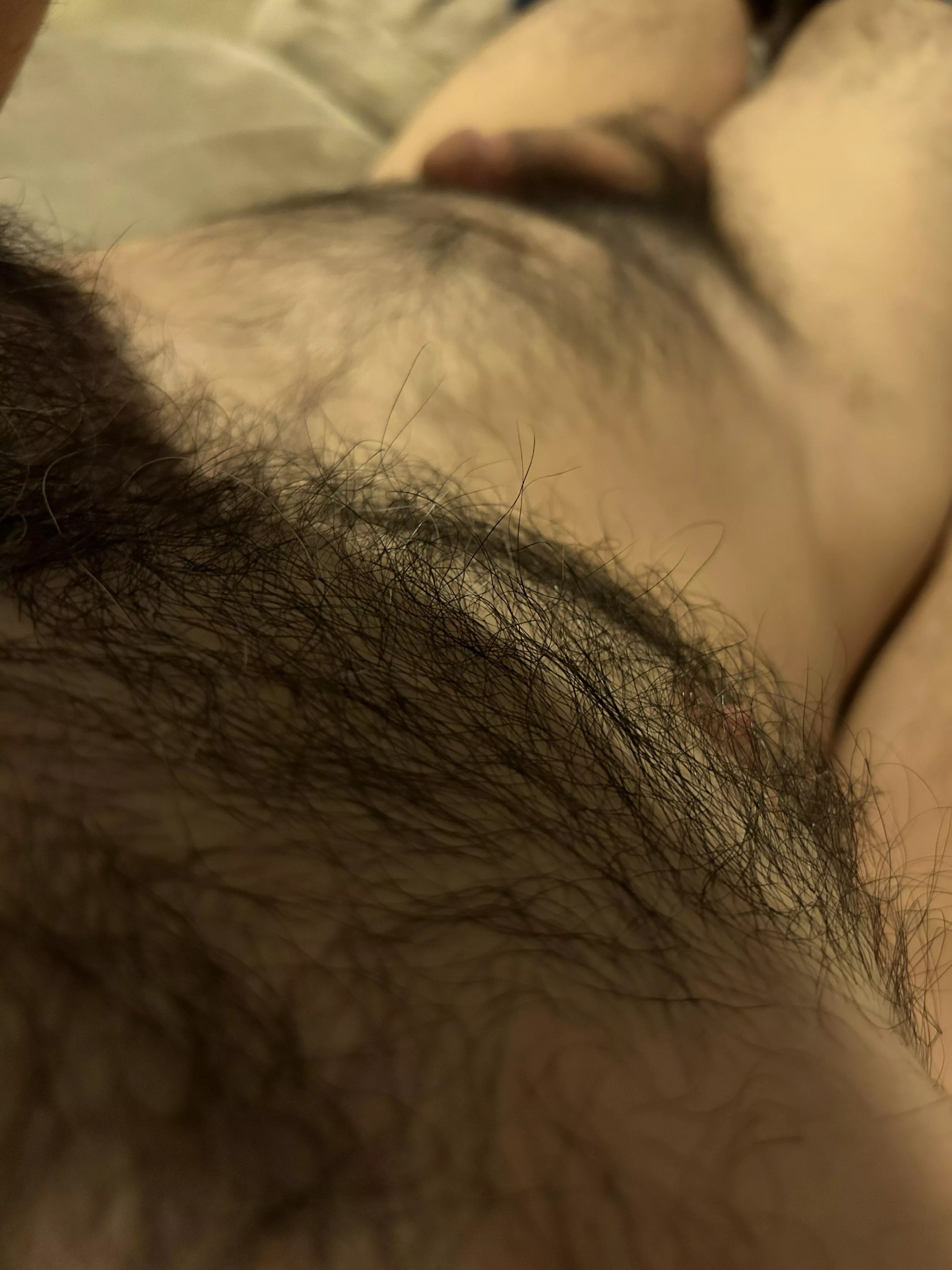 Looking down chest posted by Ok_Summer1539