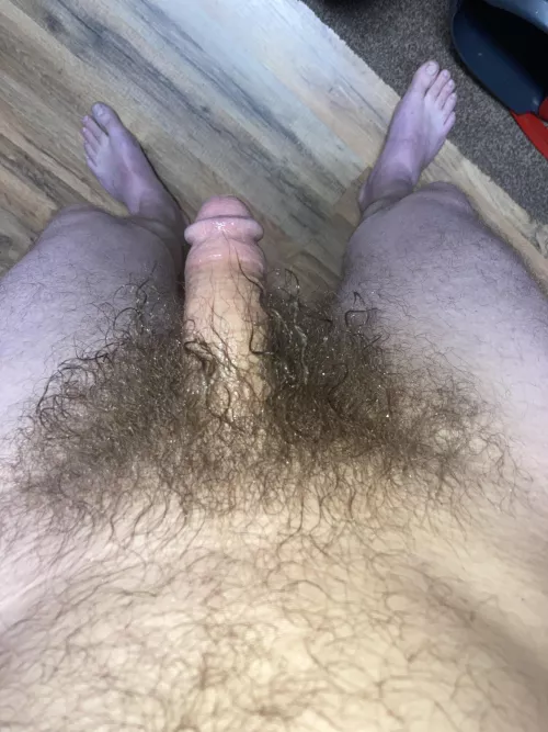 My pubes wet from jerking with spit ✊🏻💦 by DanielS35