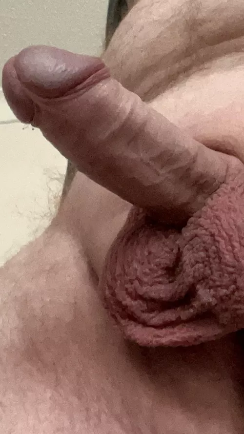 Perfect view for you by conquest-15424