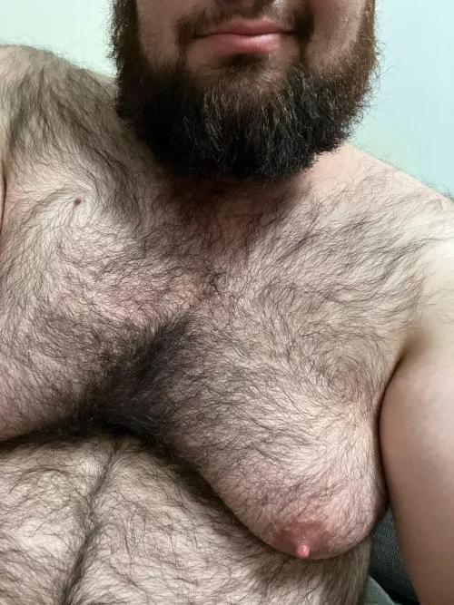 Seems people like chest hair they can actually run their fingers through when making out. Accurate? by Sweet_tea991