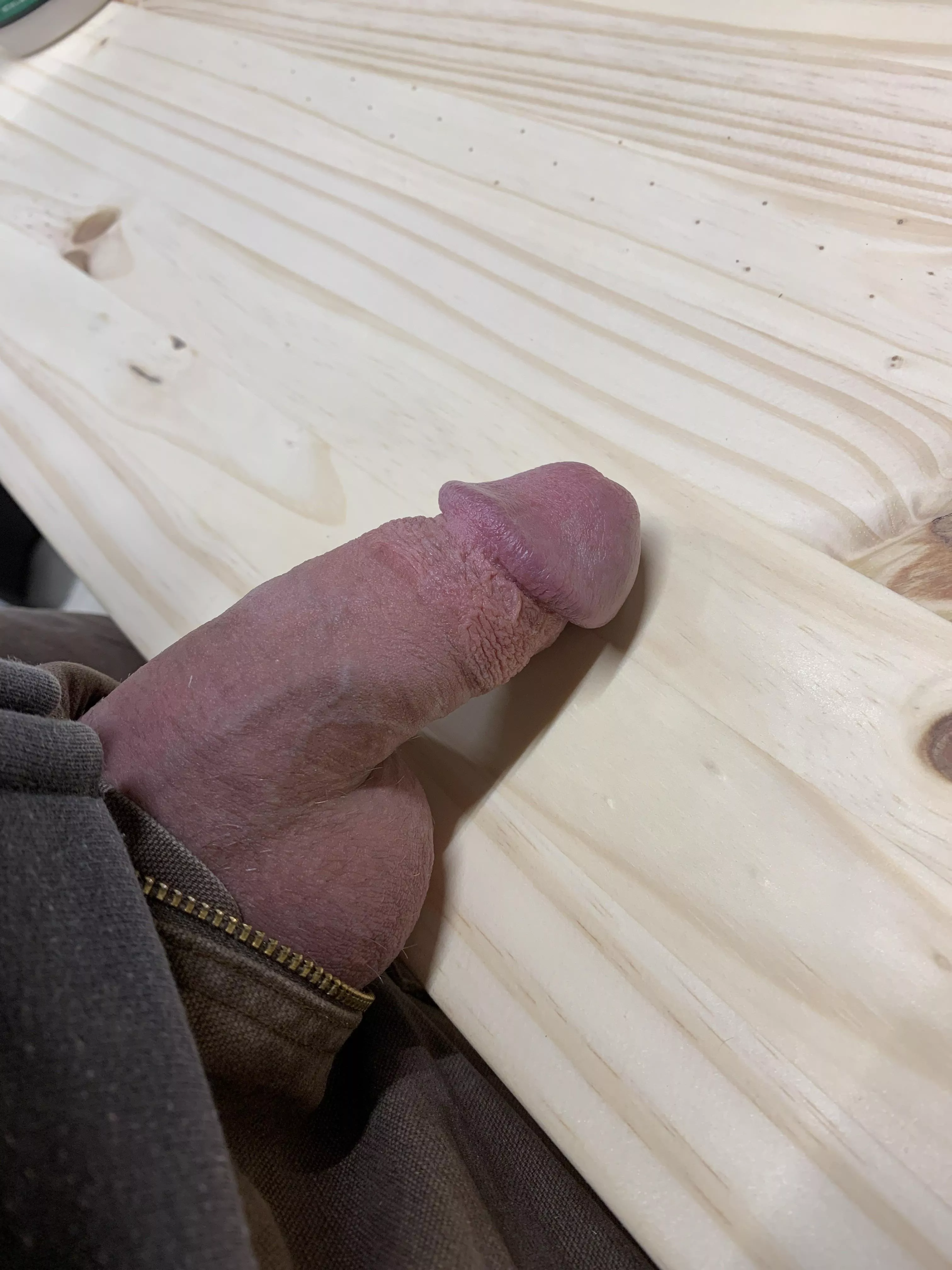 Taking a break while working in the garage. posted by Previous-Setting3152