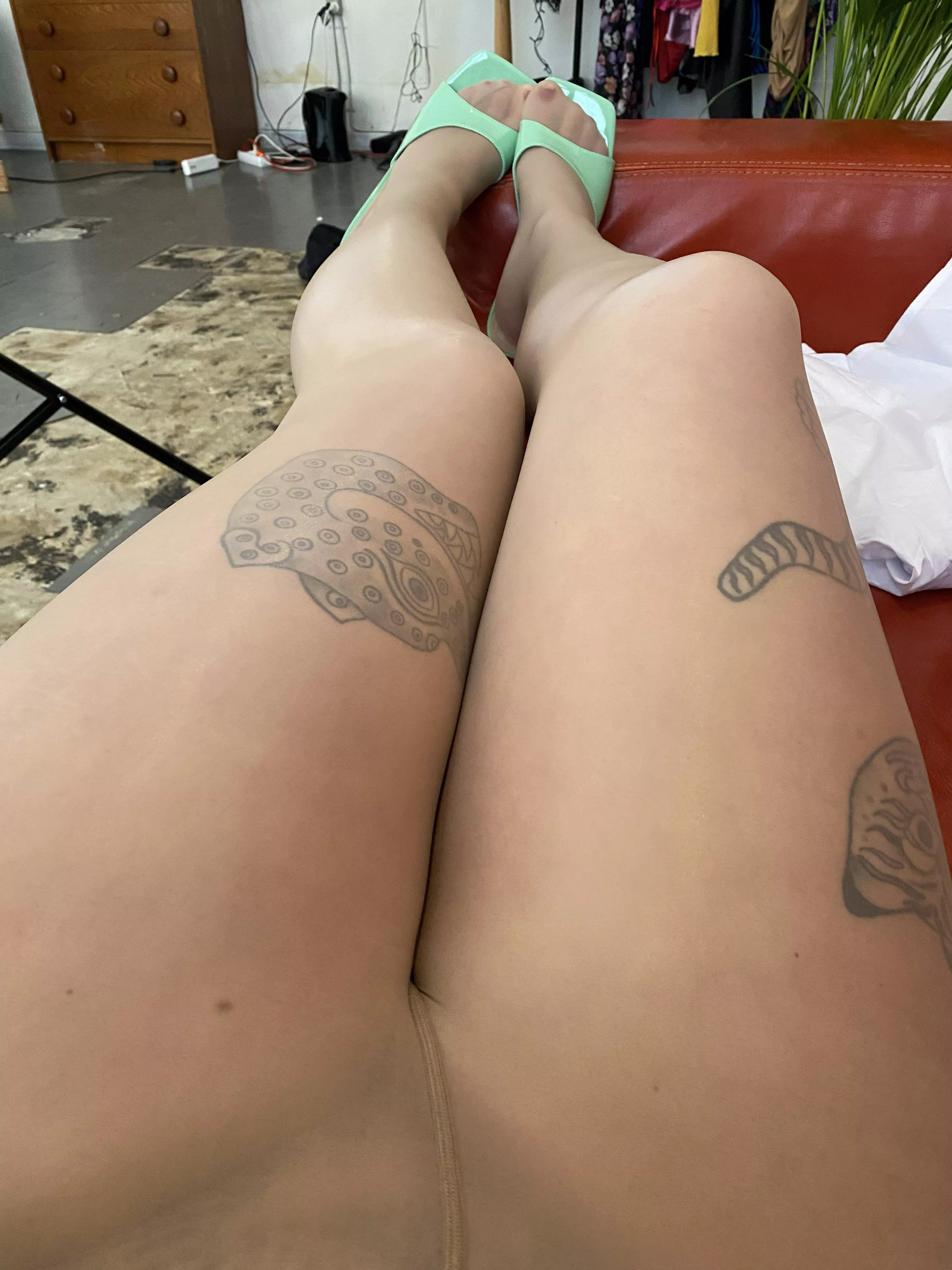 They need a rub. And could you clean my room? posted by MaryLunaa