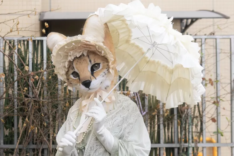 @WaldorfRinn on Twitter by Dragoniel