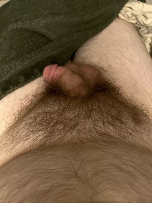 A grower with bush. DMs open. by myanalytic101