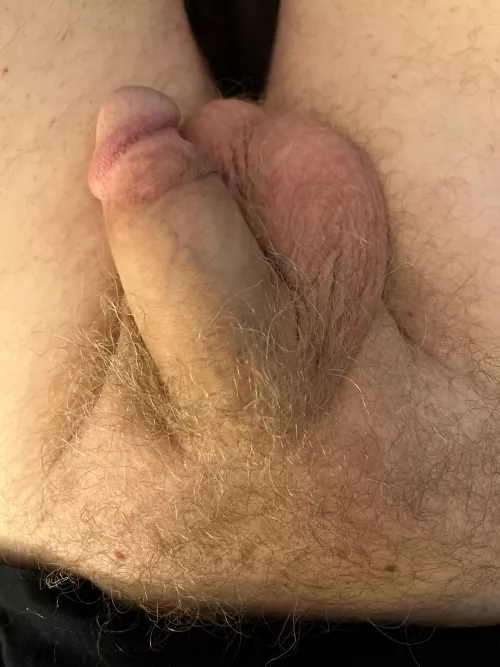 Afternoon softie by sonnycrumble