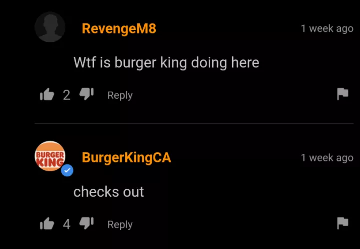 Burger King Sus by nkempire17