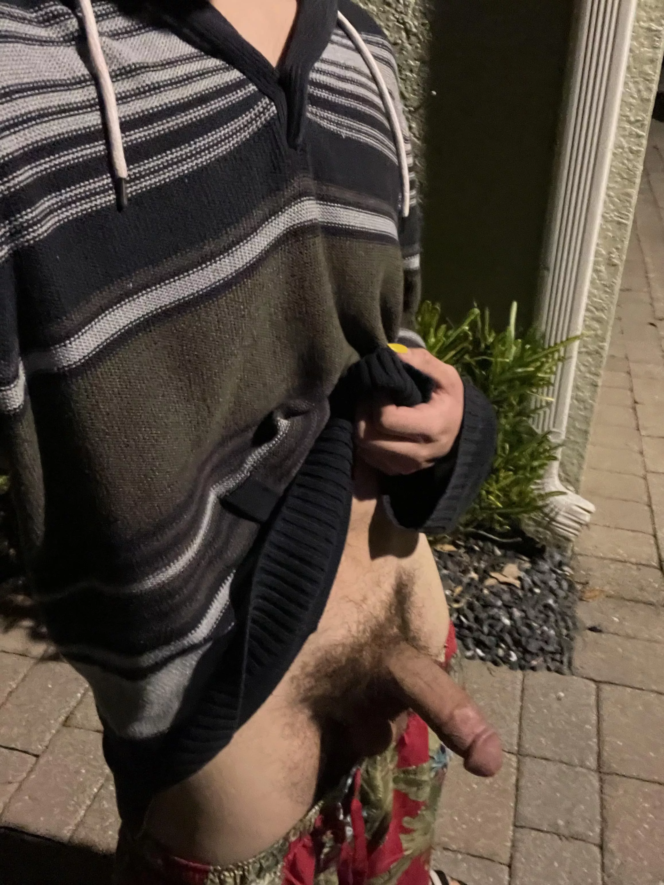 Hope my neighbors didn’t see 😉 posted by vaczega