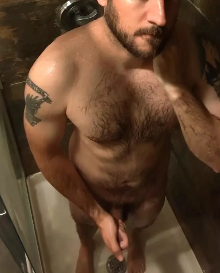 How's my beard looking this week? posted by Kaycee_Phoenix