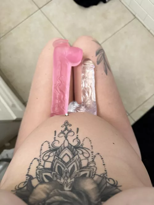 I think you know where these are going. 😜 by Repulsive-Elevator26