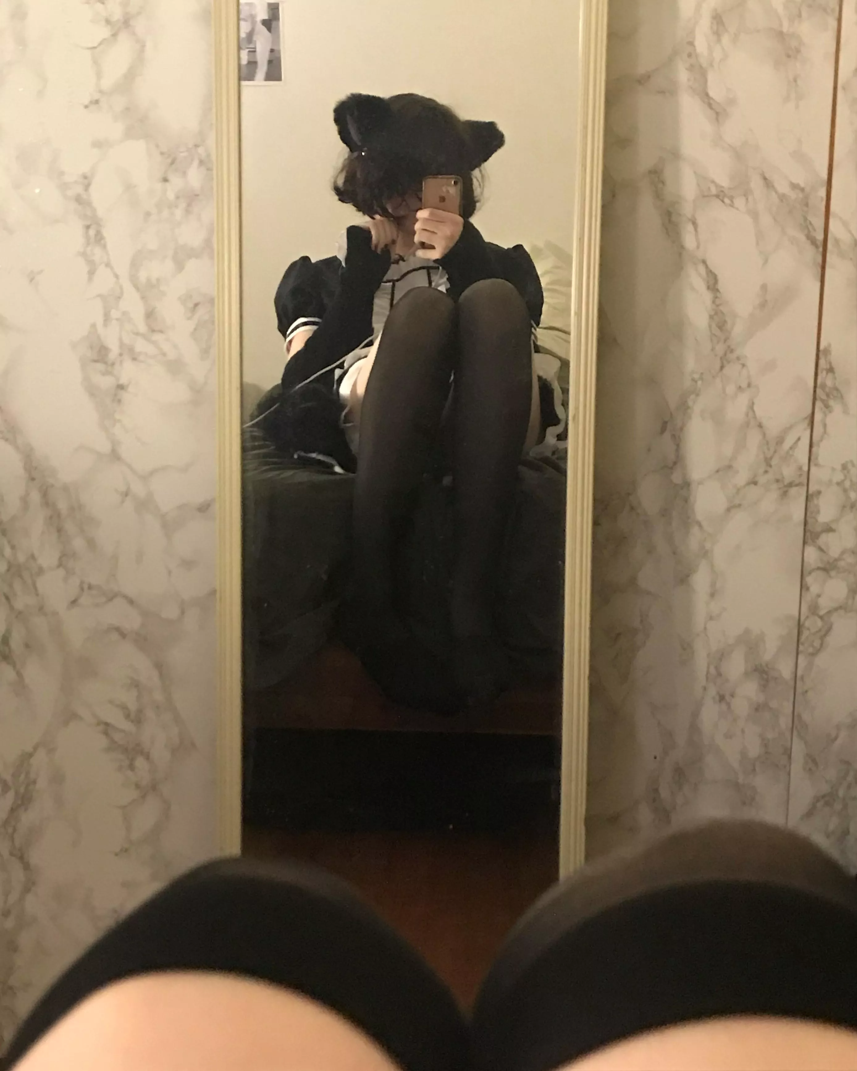 meow posted by catp1lls