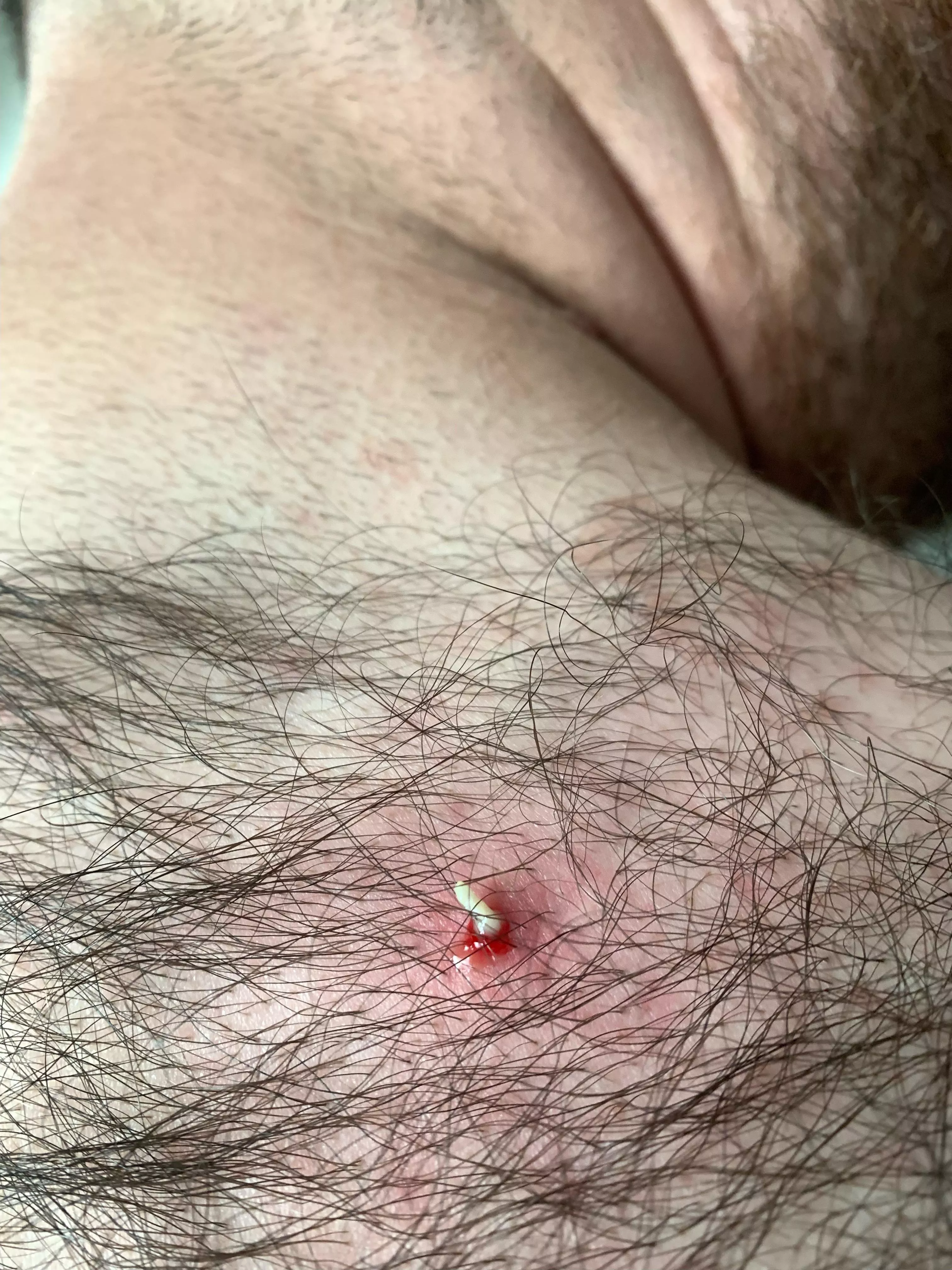 Only a picture, but still… posted by geauxfish