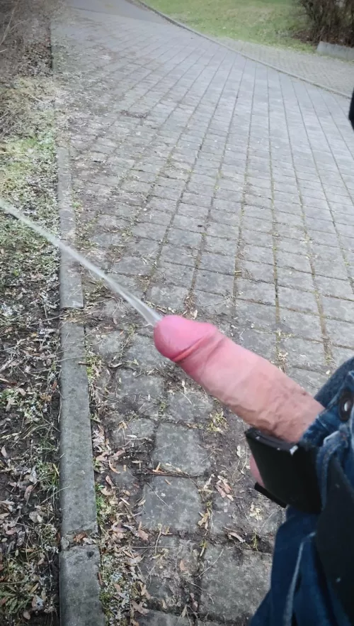 Pissing in public only with hard wood. Love when people cross me and see me by Albik93