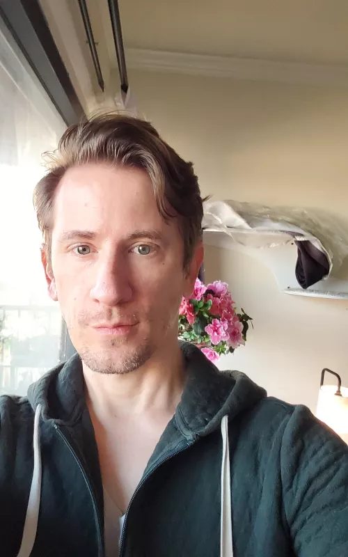 The azalias are looking very lush this morning. by tomatoman44