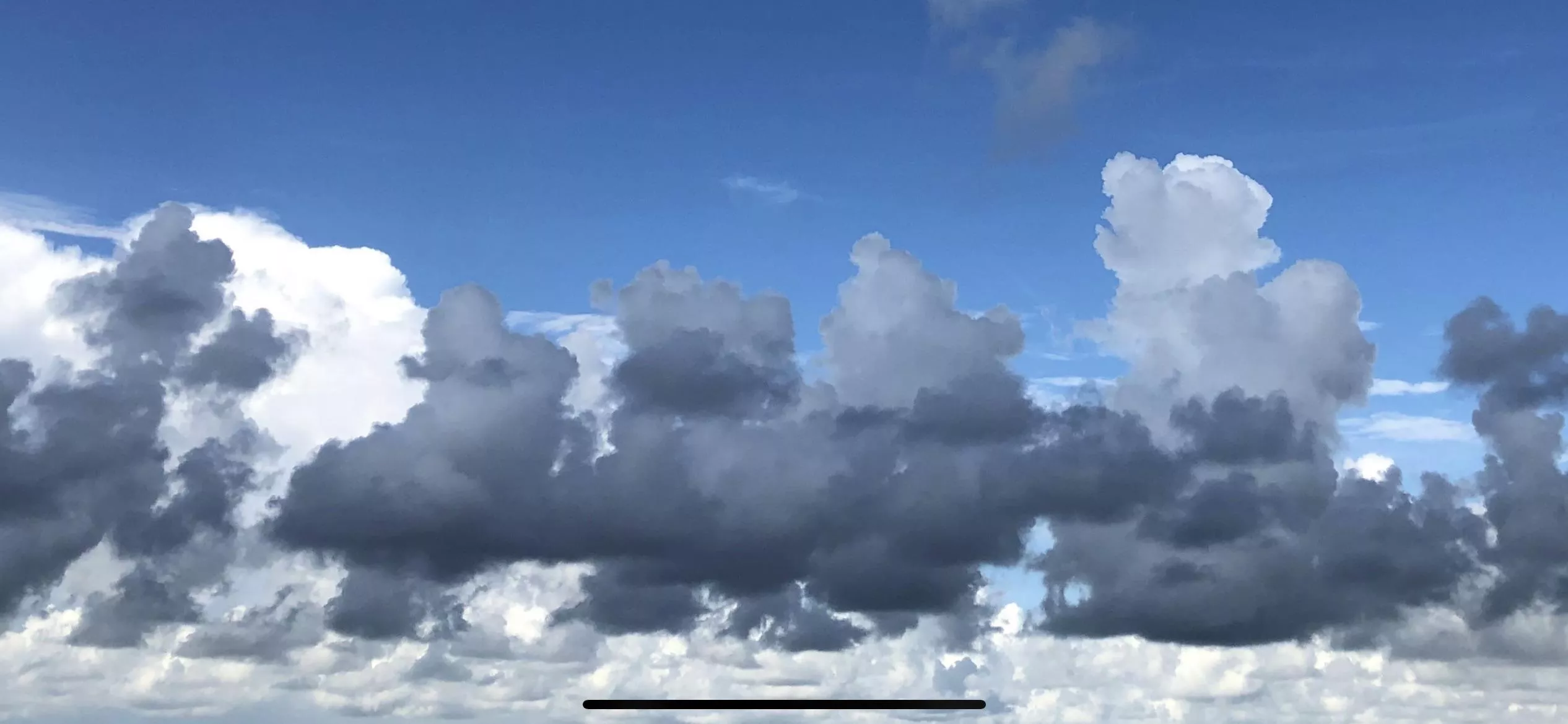 This morning in West Palm Beach posted by KarenIsAmused