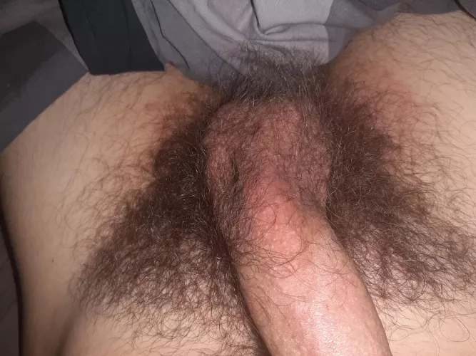 Wanna smell it? by Wheresallthecomments