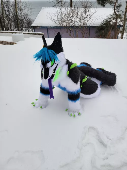 Wild WereSergal Going Feral by xXSpartan92Xx