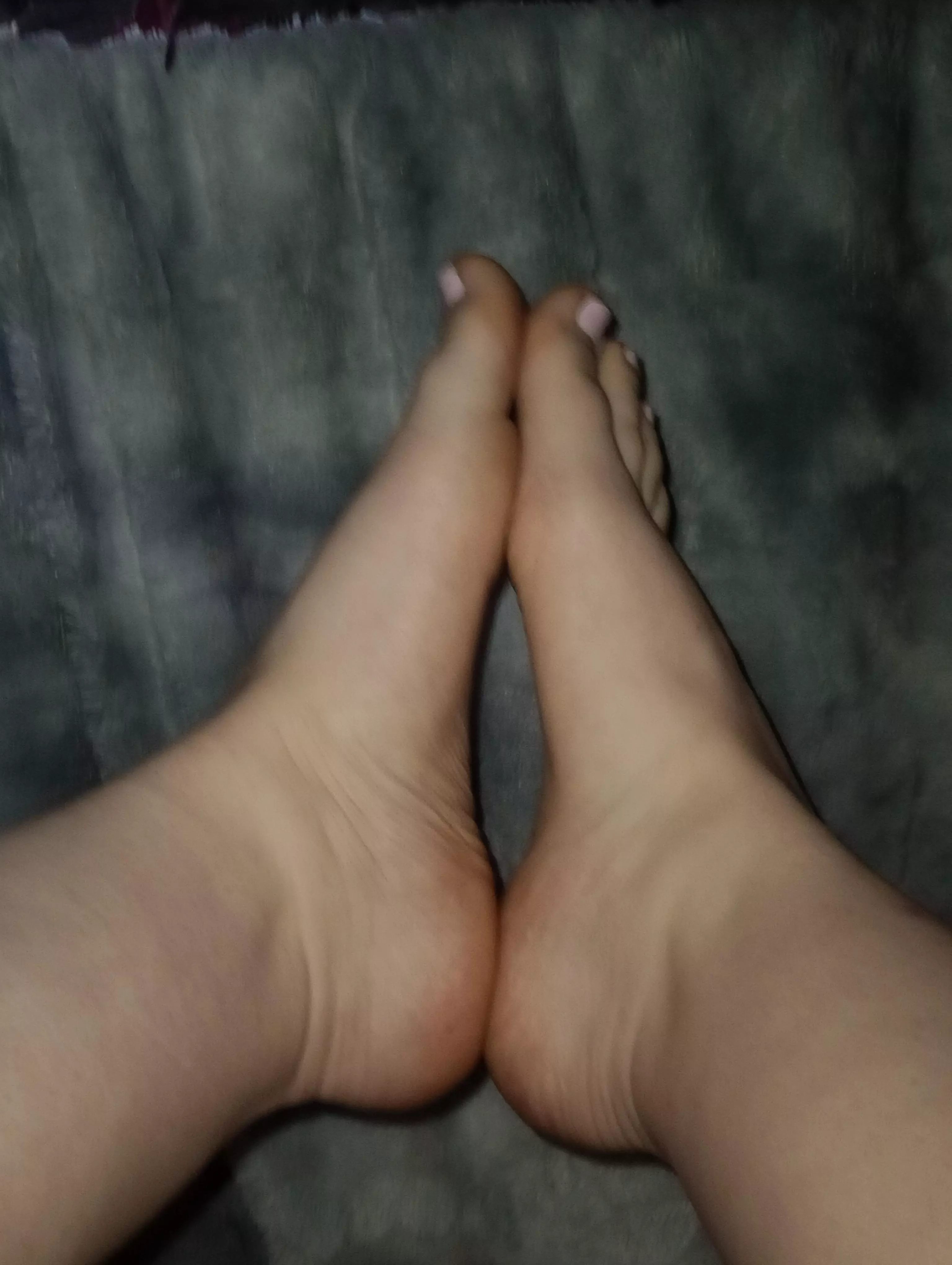 would you tickle these? posted by Huge-Significance831