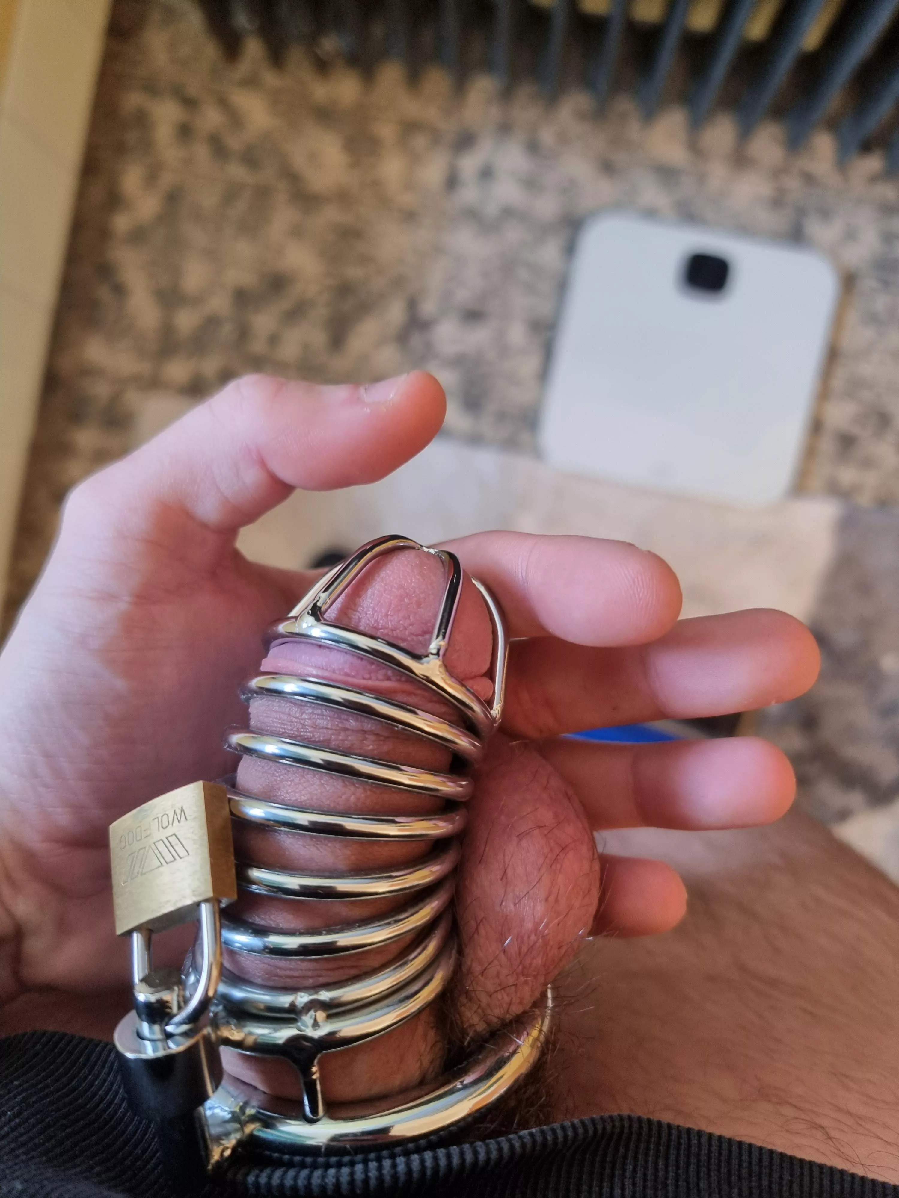 First day of wearing a chastity my wife force me to do. posted by Karuzo64