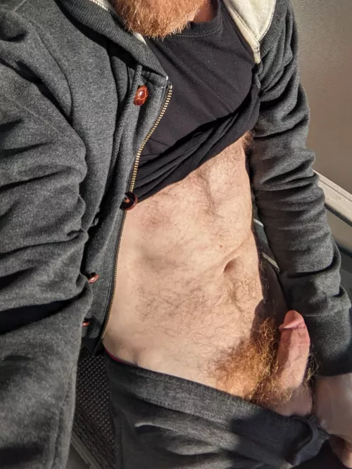 Gotta give my ginger bush some sun by responsive-banana