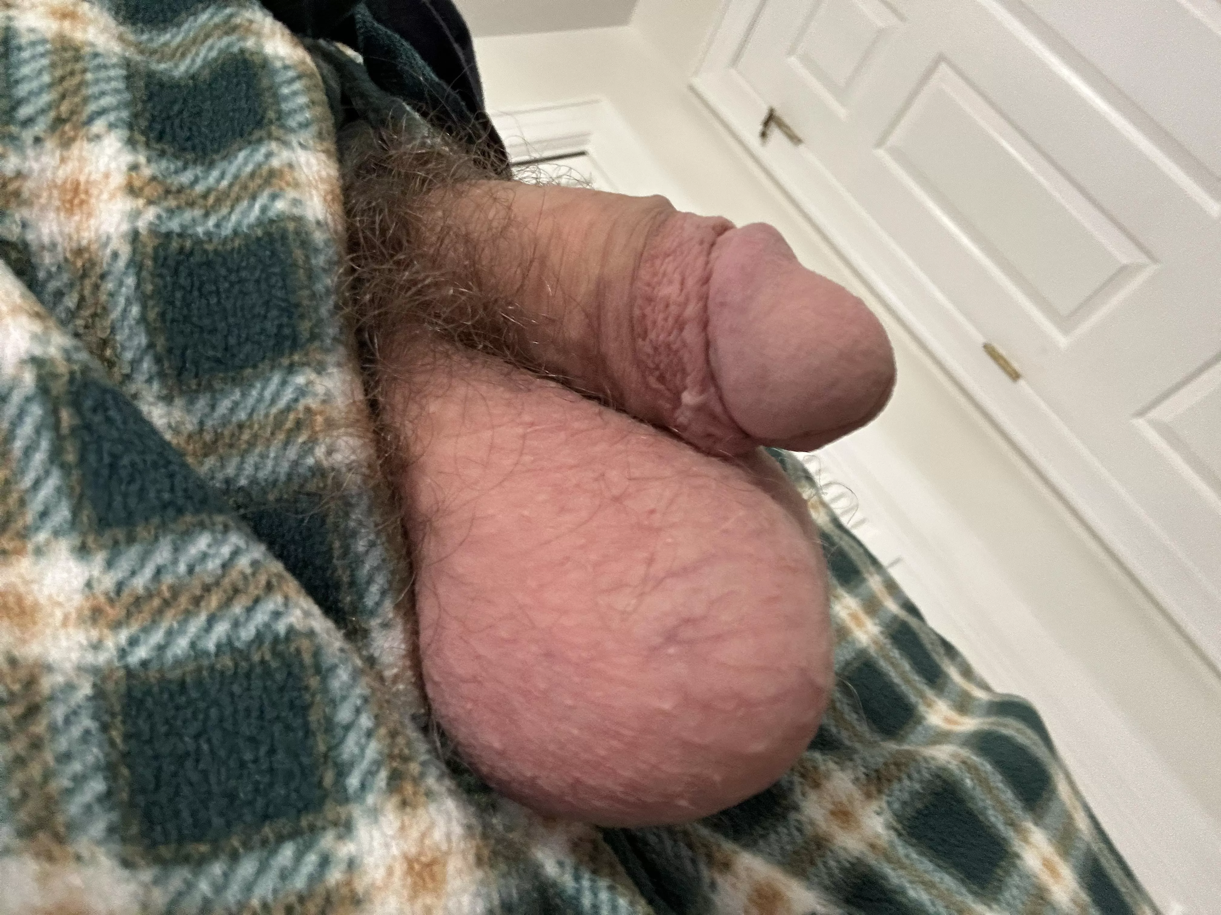 Happy St. Patrick’s Day! posted by billsfan1866