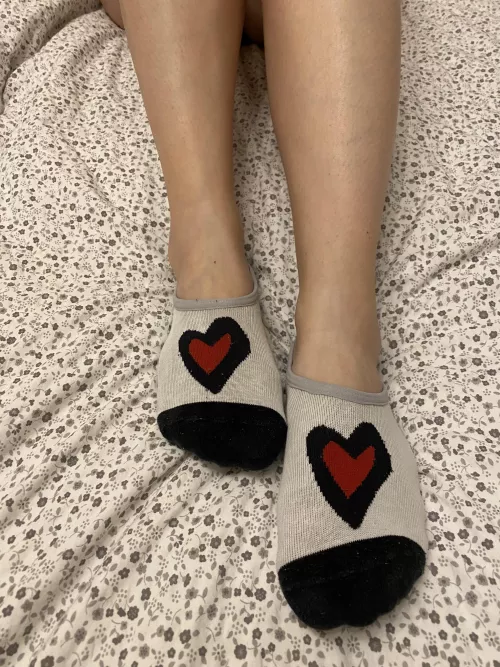 I took these out for a walk today, now you can get a sniff if you'd like 😏🫦 OF @Lustyfeetgirl ❤️ by LustyFeetGirl