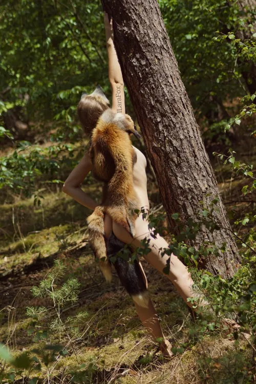 In the woods by ILaraFox