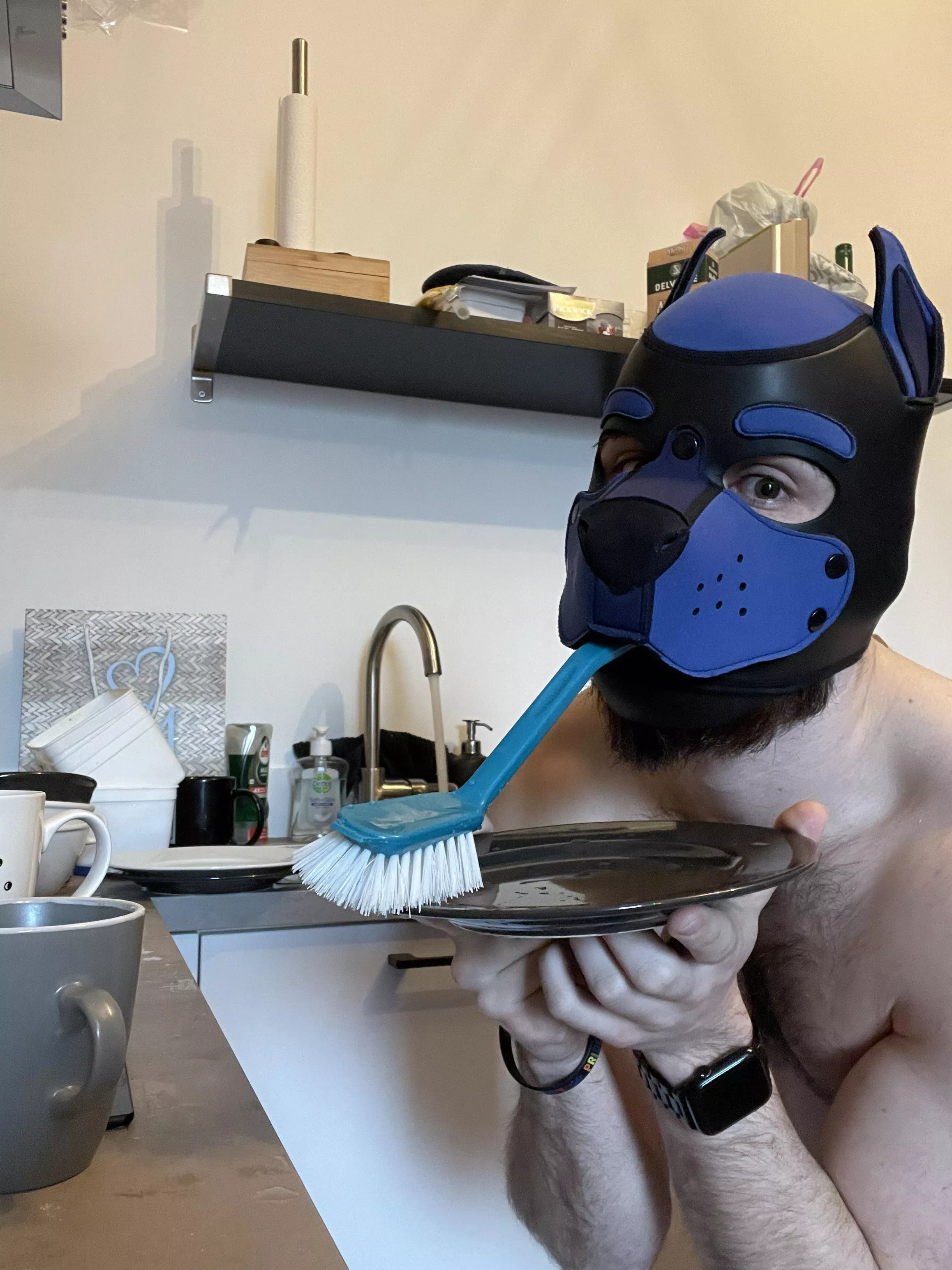 Its quite hard to do the dishes like this posted by enderwuff