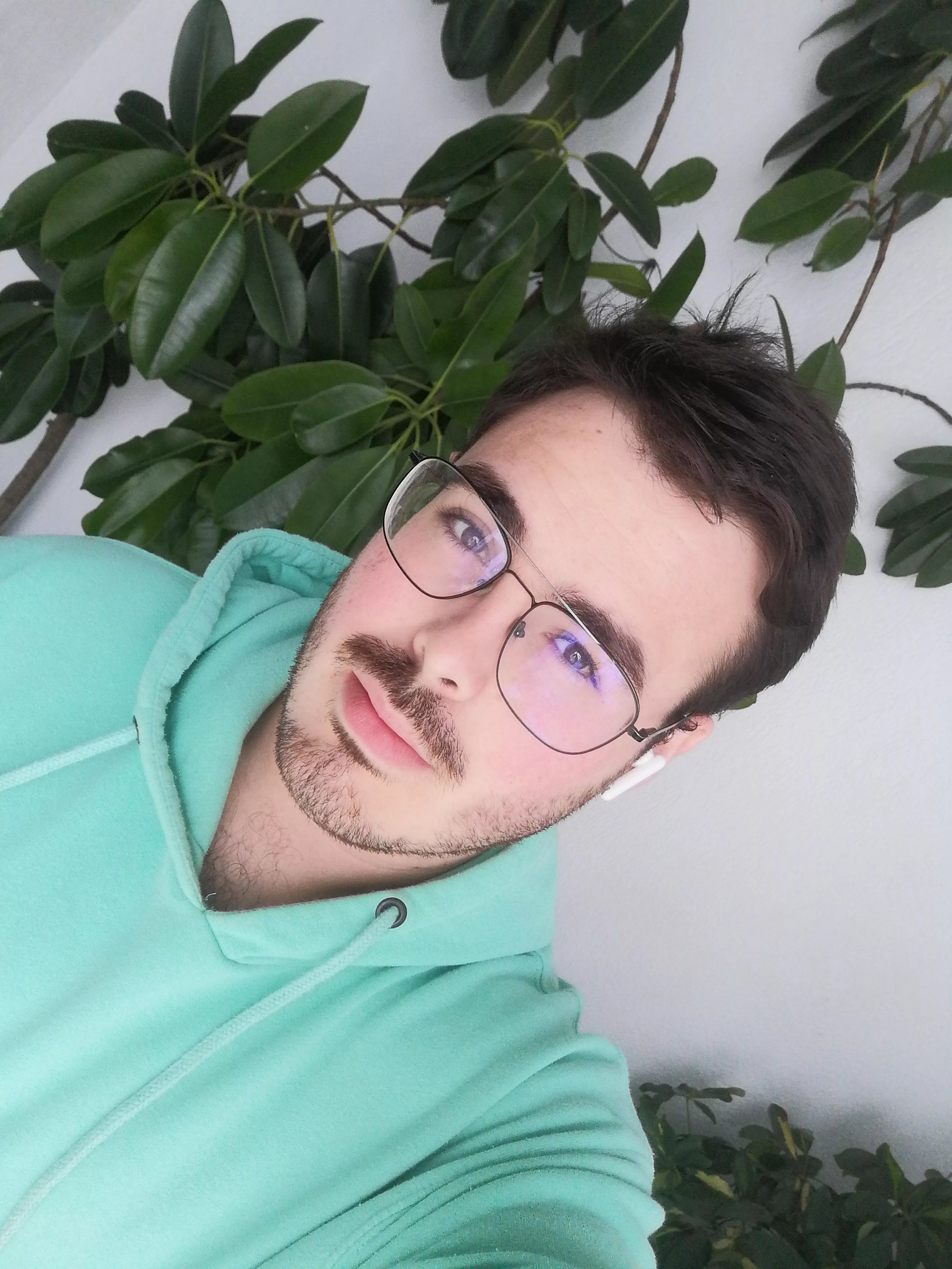 It's time to walk the dog 🙄 posted by Cess6697