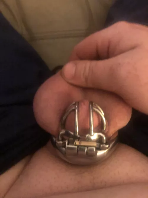 Locked until I lose 50lbs. Wife and I agreed on a kinky weight loss plan. Until I lose the goal weight, the only relief I get Is when I have two consecutive days of 30 min’s of cardio I can get a caged orgasm. So far I’m 6 days in and 5 lbs down and  by Emergency-Ad-2590