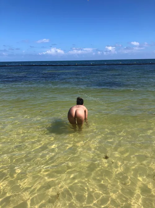 Looking for shells by CuteeAssaButton