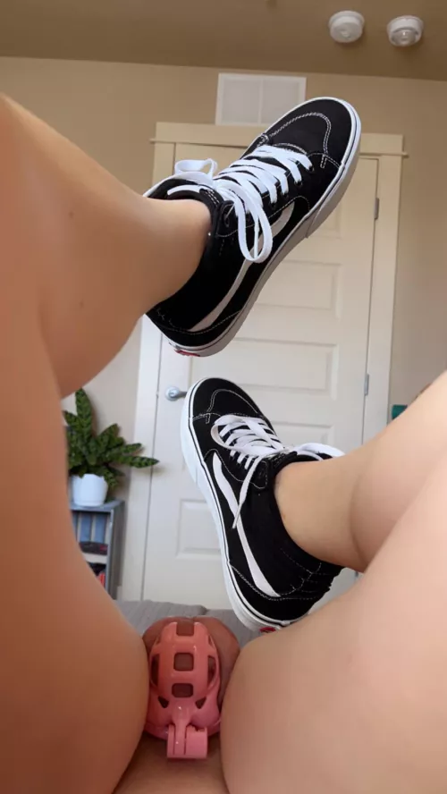 Might delete if this flops by ca78625