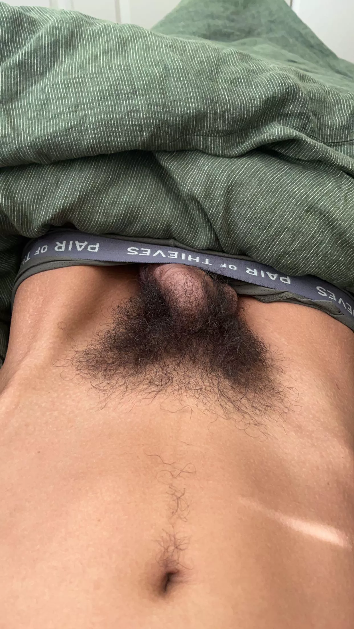 My bush in the morning posted by foldingfolding