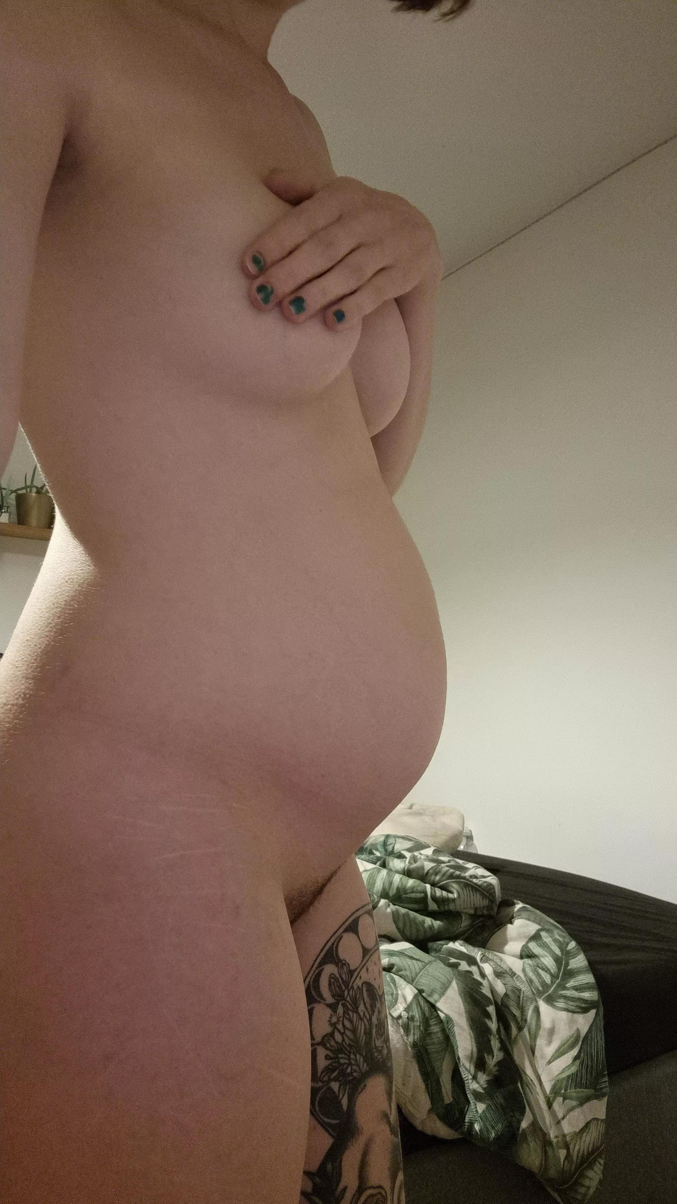 OC pregnant again and growing nicely✨️ posted by LilThing98
